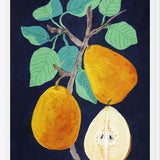 Cuadro Pears