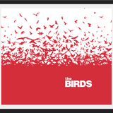 Cuadro The Birds