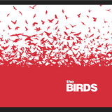 Cuadro The Birds