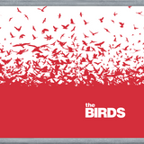 Cuadro The Birds