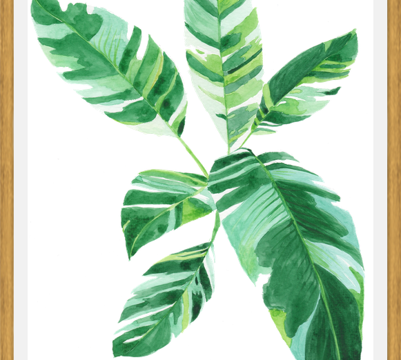 Cuadro Banano