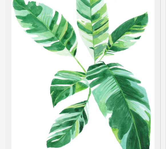Cuadro Banano
