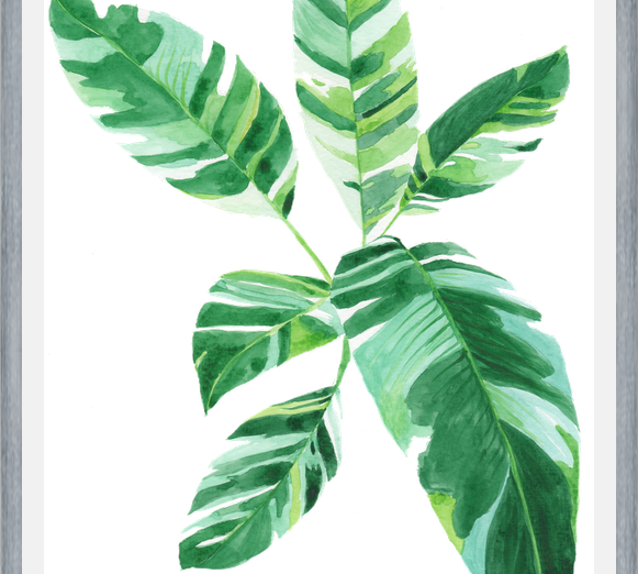 Cuadro Banano