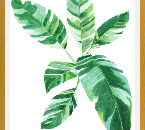 Cuadro Banano