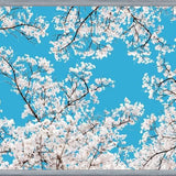Cuadro White Blossom