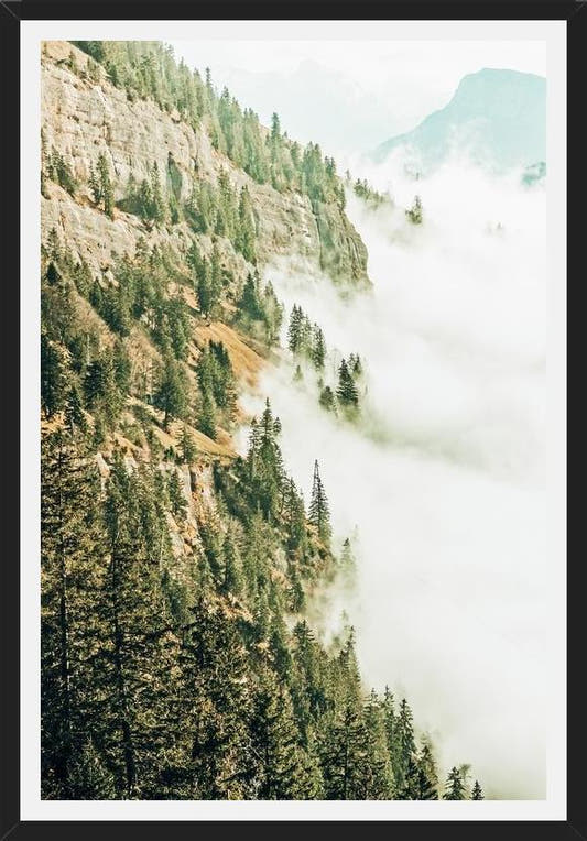 Cuadro Hills & Fog