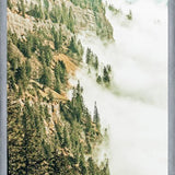 Cuadro Hills & Fog