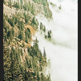 Cuadro Hills & Fog