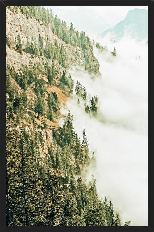 Cuadro Hills & Fog