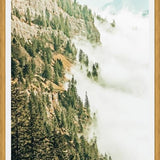 Cuadro Hills & Fog