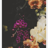 Cuadro Ramos de flores