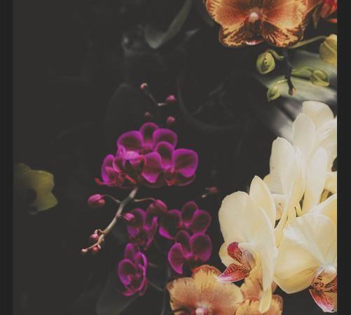 Cuadro Ramos de flores