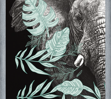 Cuadro elefantecon ilustraciones de hojas