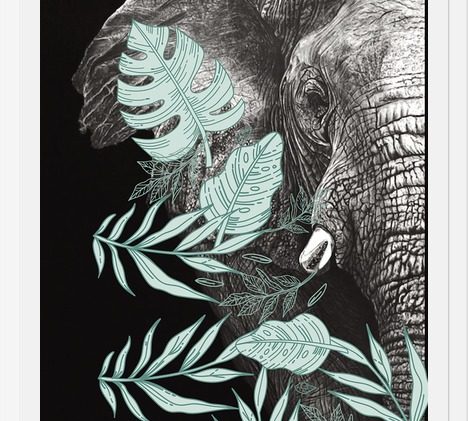 Cuadro elefantecon ilustraciones de hojas