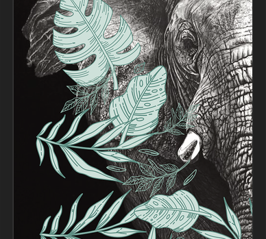 Cuadro elefantecon ilustraciones de hojas