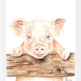 Cuadro cerdito