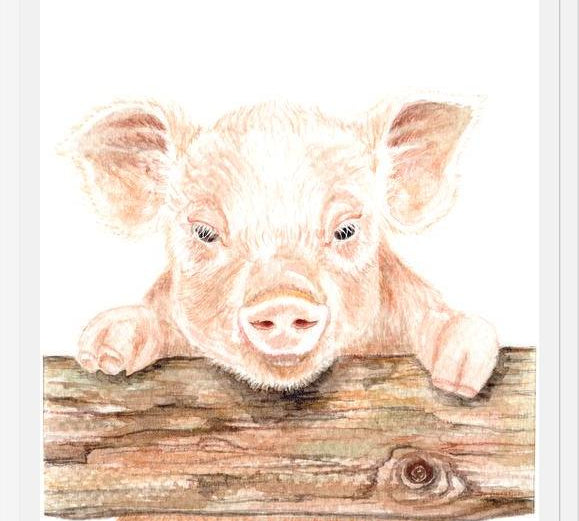 Cuadro cerdito
