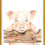 Cuadro cerdito