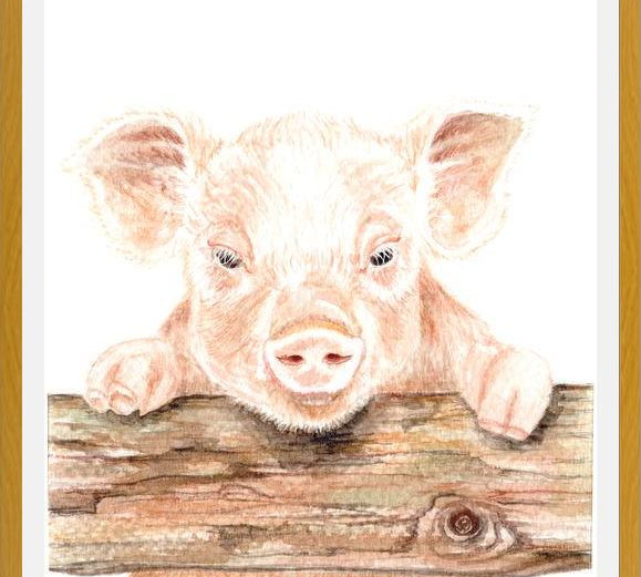Cuadro cerdito