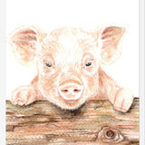 Cuadro cerdito
