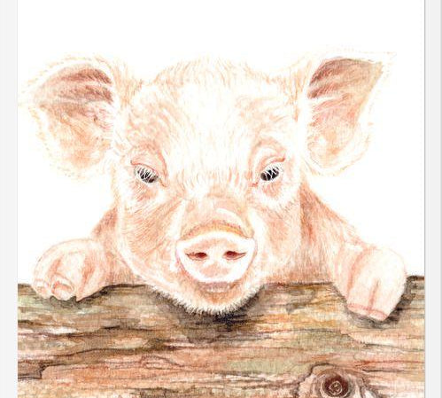Cuadro cerdito