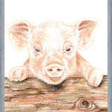 Cuadro cerdito