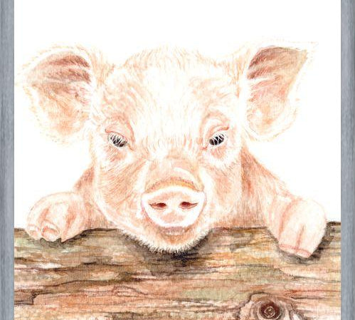 Cuadro cerdito