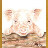 Cuadro cerdito