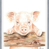 Cuadro cerdito