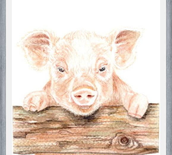 Cuadro cerdito
