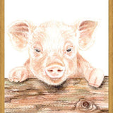 Cuadro cerdito
