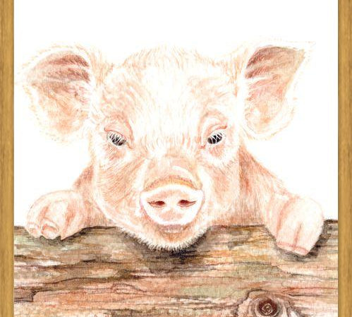 Cuadro cerdito