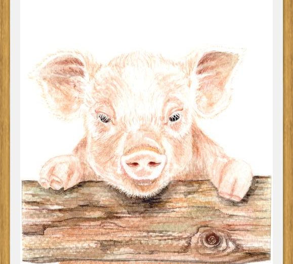 Cuadro cerdito