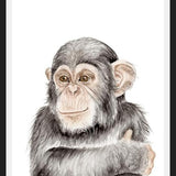 Cuadro Chimpancé