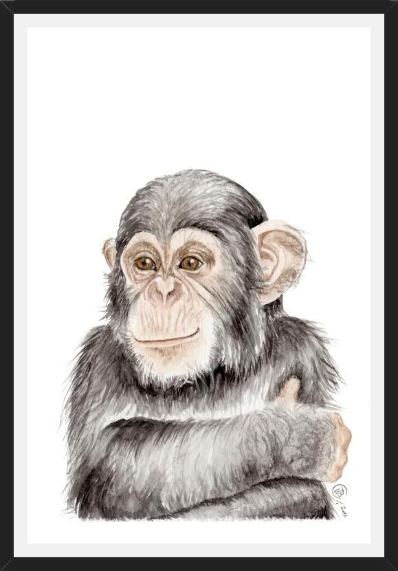 Cuadro Chimpancé