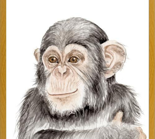 Cuadro Chimpancé