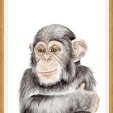 Cuadro Chimpancé