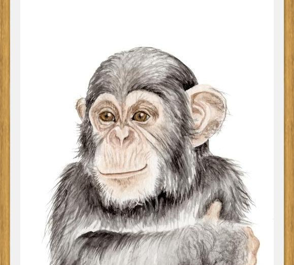 Cuadro Chimpancé