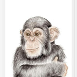 Cuadro Chimpancé