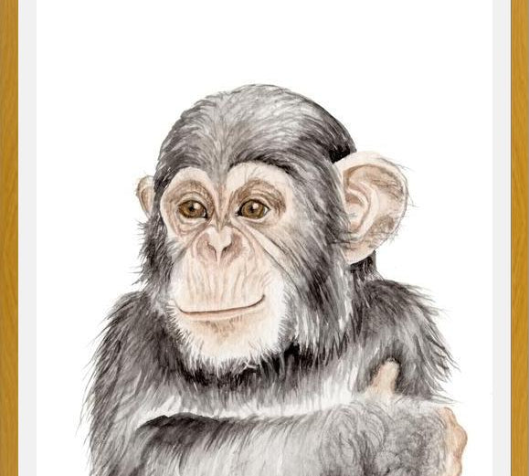 Cuadro Chimpancé