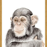 Cuadro Chimpancé