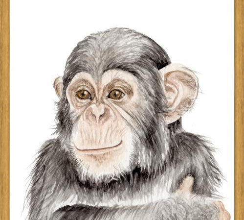 Cuadro Chimpancé