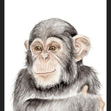 Cuadro Chimpancé