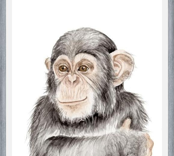 Cuadro Chimpancé
