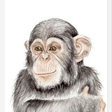 Cuadro Chimpancé