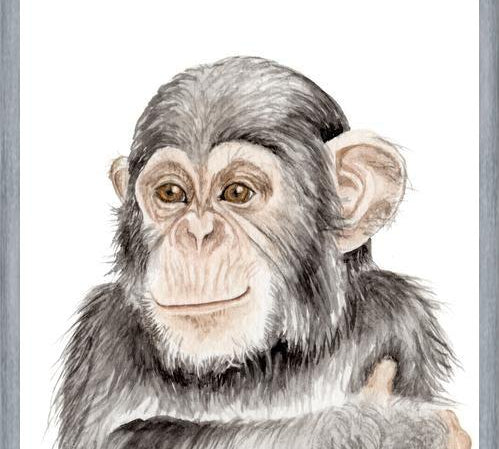 Cuadro Chimpancé