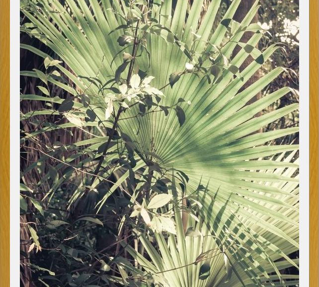 Cuadro Greenery III