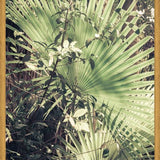 Cuadro Greenery III
