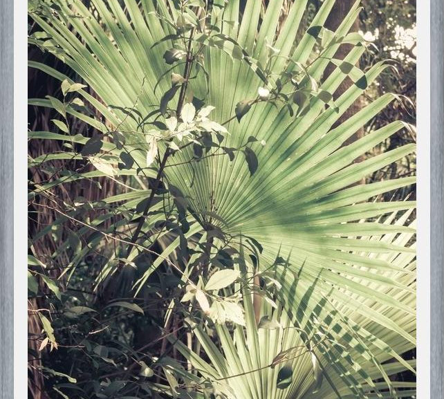 Cuadro Greenery III