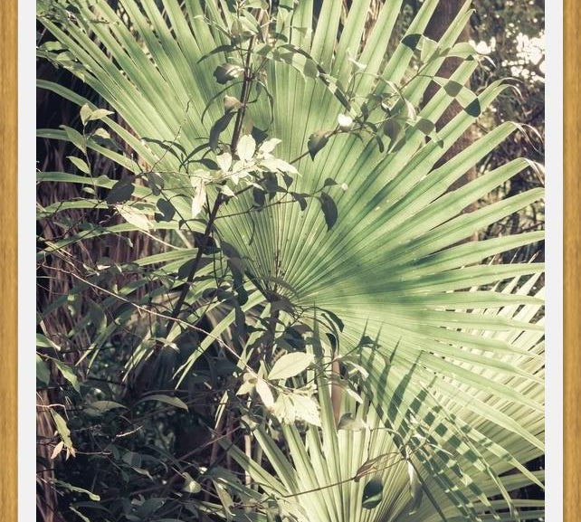Cuadro Greenery III